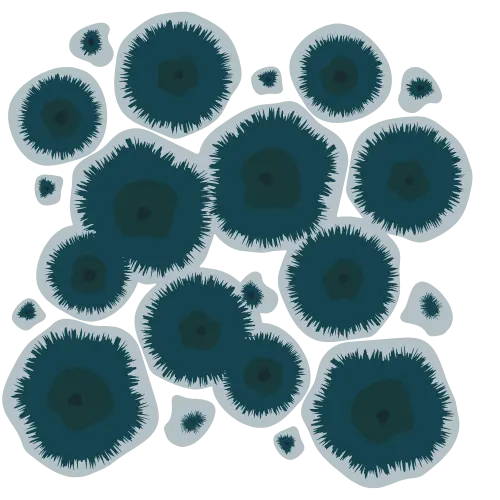 Microscopic view of mold particles
