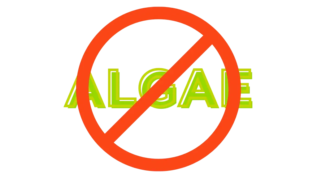 The word algae circled and crossed out in red