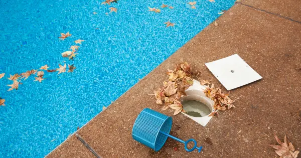 Pool-Debris