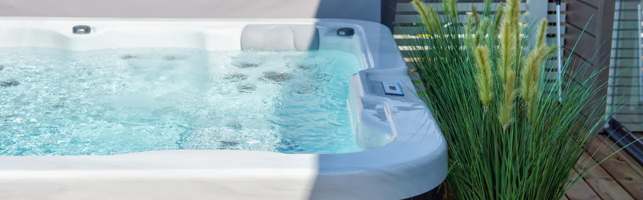 An outdoor hot tub is lit up by the sun. A plant sits to the right of the hot tub.